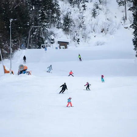 Apartman Sabine Flattach