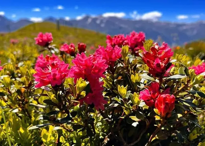 Sabine פלאטלאך